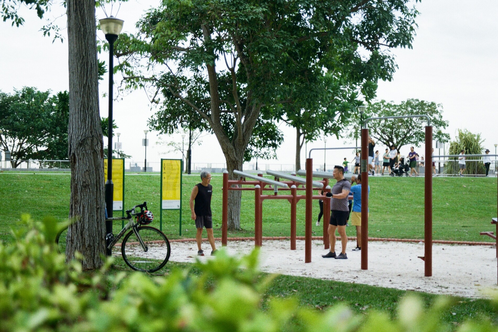Outdoor Calisthenics