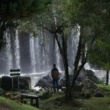 Forest Bathing: The Japanese Science of Shinrin-Yoku