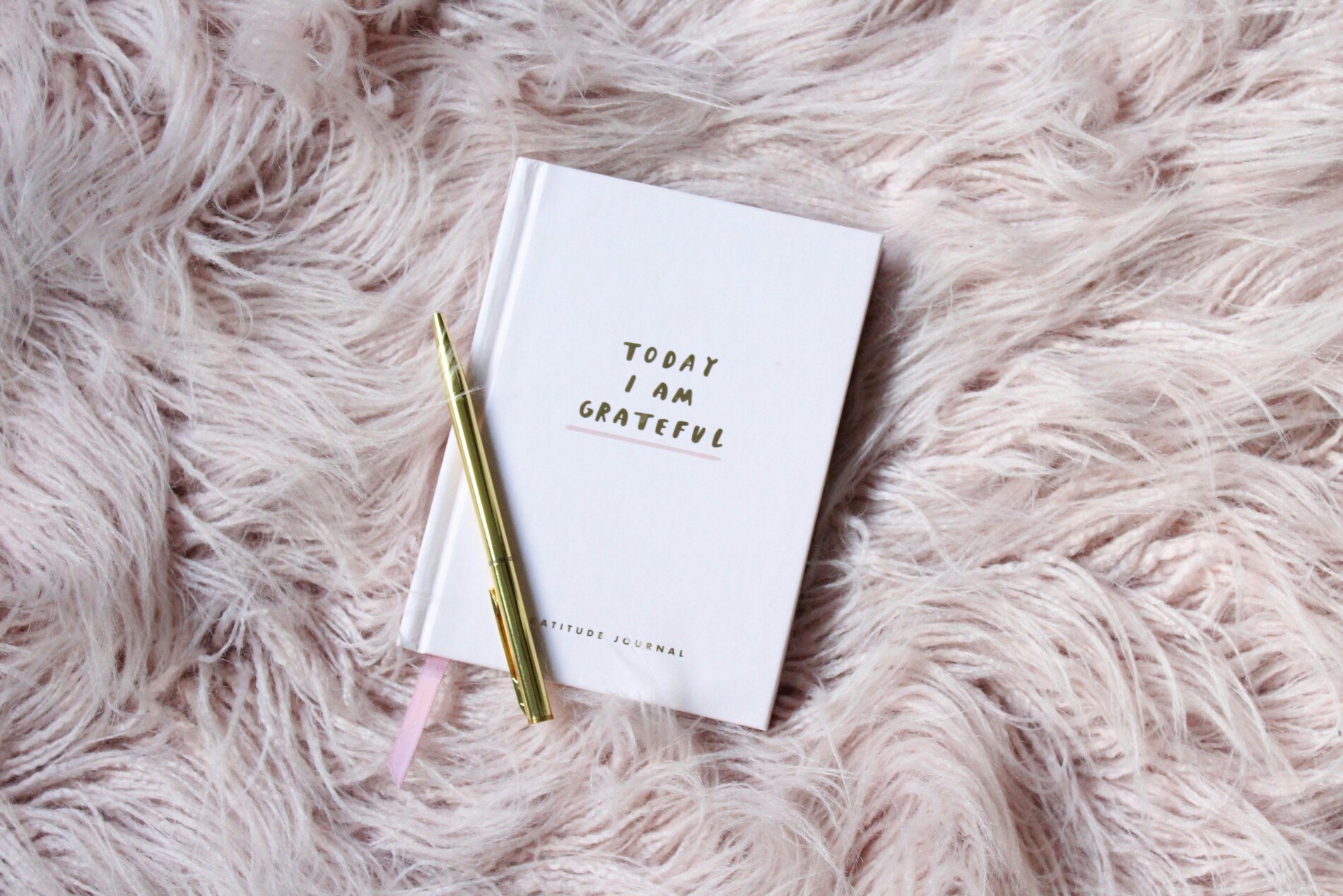 Gratitude journal